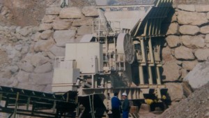 DL1
